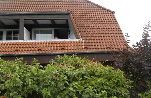 Friedrichskoog-Spitze Apartment | cozy duplex holiday apartment in Friedrichskoog