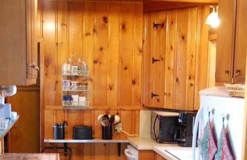 Chisago City Cabin | Cozy family-sized cabin with 100ft on Green Lake!