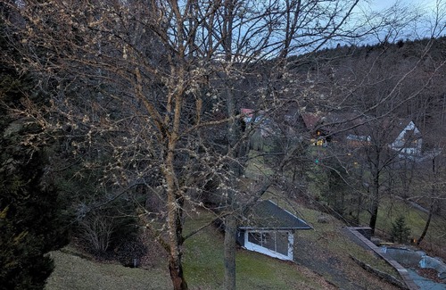 Schoenau an der Brend Apartment | Cozy fireplace suite with private whirlpool & fireplace in the Wald-Villa-Schönau