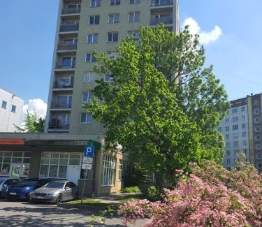 Plavnieki Apartment | cozy flat in new project with air conditioner & jacuzzi