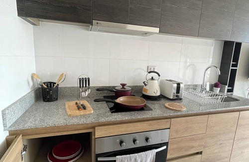 Concepcion Apartment | Cozy fully equipped apartment in the center of Concepción.