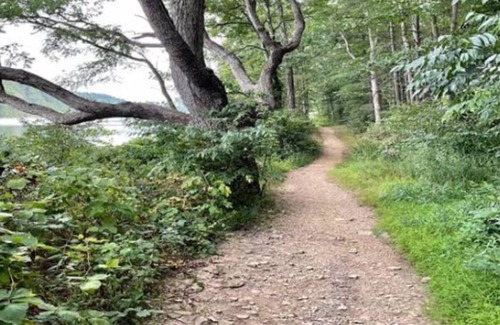 Basye Cottage | Cozy Golf, Bike, Lake Cottage 3 br/2.5 bth 5 min. Bryce Resort