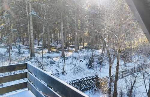 Clausthal-Zellerfeld House | Cozy Holiday Home by the Lake Apartment 1 with Private Garden and Wi-Fi