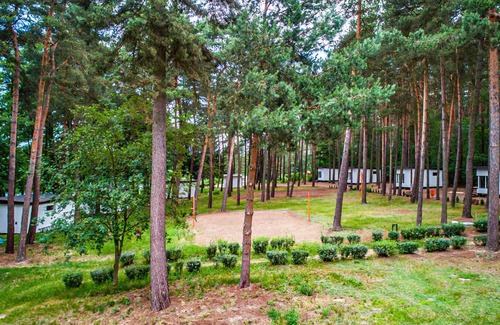 Swiecie House | Cozy home in Sulnowo with kitchen
