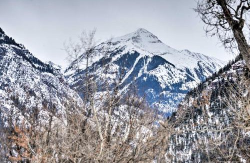 Ridgway House | Cozy Home with Mountain Views Near Ouray Hot Springs