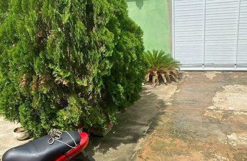 Juazeiro do Norte House | Cozy house for families, with plenty of space. We accept animals.