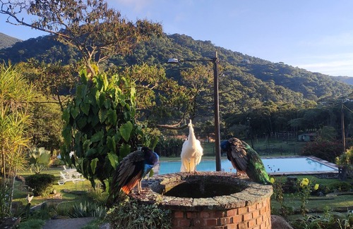 Teresopolis House | Cozy house in a paradise in Teresópolis