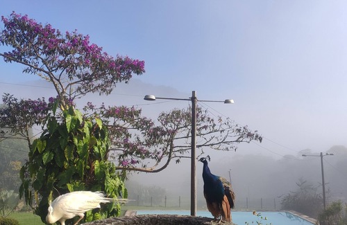 Teresopolis House | Cozy house in a paradise in Teresópolis