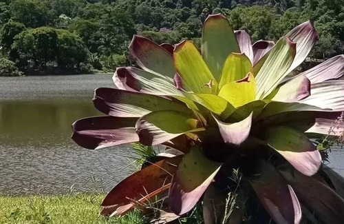 Teresopolis Cottage | Cozy house in the middle of nature: wi fi, barbecue, fireplace