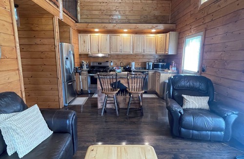 Dandridge Cabin | Cozy LAKE cabin with a view of Douglas Lake in East TN! Sleeps 5!