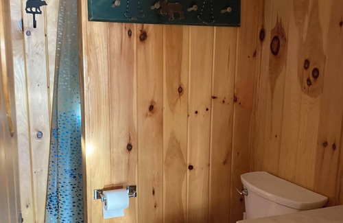 Acton Cabin | cozy lakeside cabin, sunset views year round