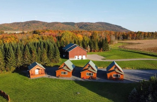 Aroostook Cabin | Cozy lodge room #2