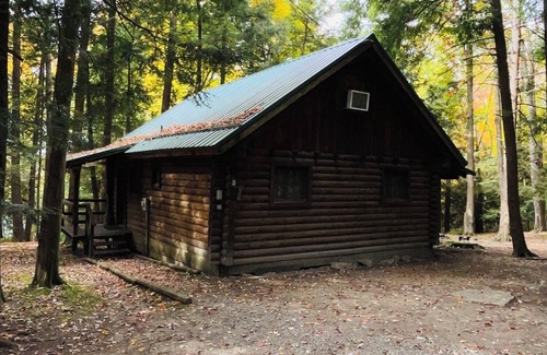 Clarington Cabin | Cozy Log Cabin in Cook Forest