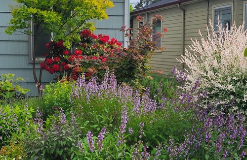 Mount Scott-Arleta Apartment | Cozy modern garden studio with WiFi and AC in SE Woodstock Portland