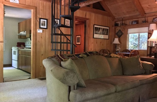 Candler Cabin | Cozy mountain cabin bordering national forest