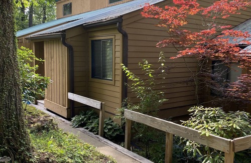 Sapphire Condo | Cozy Mountain Hideaway surrounded by waterfalls and hiking