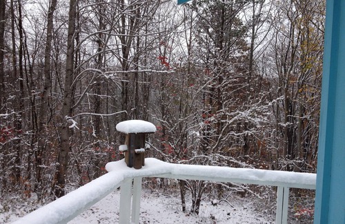Canton Cabin | Cozy Mountainside Cabin 3400' Near Asheville NC