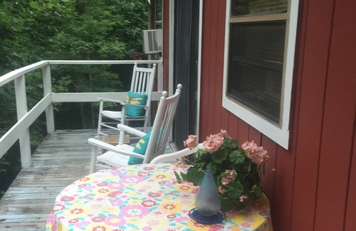 Canton Cabin | Cozy Mountainside Cabin 3400' Near Asheville NC