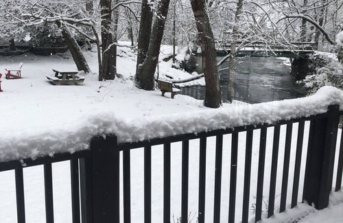 Choestoe Cabin | Cozy Nottely River Cabin. Close to lake, hiking trails, and Vogel State Park.