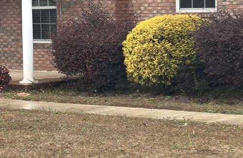 Fort Valley House | Cozy one bed room in a nice neighborhood.