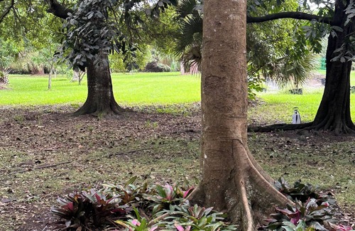 Loxahatchee Groves Apartment | Cozy one bedroom guest house on peaceful 5 acre mango farm in Loxahatchee .