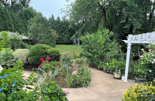 Annandale Cottage | Cozy paradise, full privacy, pool, gorgeous back yard, free parking!