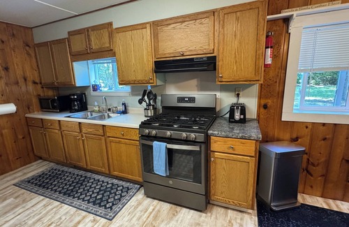 Branch Cabin | Cozy Peaceful 1 bedroom Cabin, that sleeps 6 - A perfect nature filled getaway.