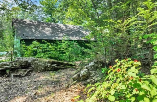 Canadensis Cabin | Cozy Poconos Cabin in the Pines | Firepit & Pickle