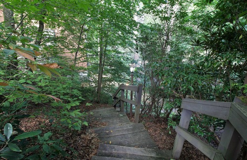 Sugar Mountain Condo | Cozy, Quiet Condo w/Access to Clubhouse