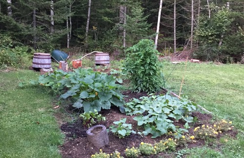 Saint George Cottage | Cozy Quiet Cottage in the woods, close to ocean and local activities