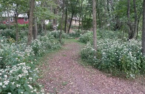 Leland Cabin | Cozy Redstone Cottage on WI River- pets welcome!