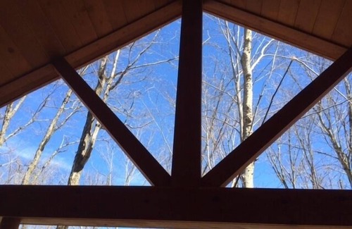 Old Forge Cabin | Cozy retreat: 1 mile from Old Forge. Close to all nature. Dog friendly.