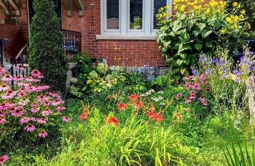 Guelph House | Cozy retreat home in Guelph. Pet-friendly!