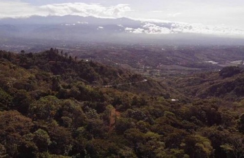 San Isidro de El General Other | Cozy Room on Tropical Farm View