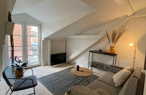 Viborg Apartment | Cozy Scandinavian Apartment in the Heart of Viborg