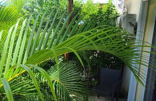 Cole Bay Apartment | Cozy space, conveniently located just 10 minutes away from beaches, the airport.