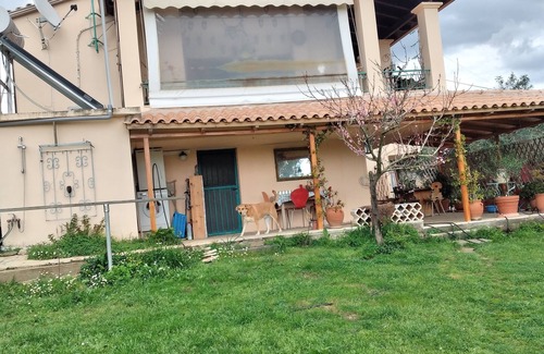 Raches Apartment | Cozy studio apartment in the middle of a large garden. Have dogs.
