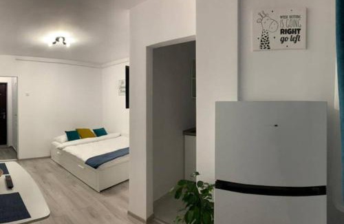 Zalau Apartment | Cozy Studio Apartament Zalau