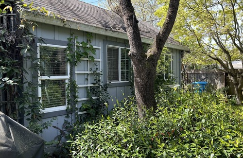 Petaluma Apartment | Cozy Studio Cottage in Old Downtown Petaluma