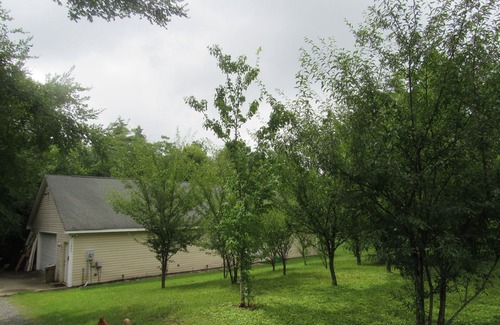 Concord Apartment | Cozy Studio Country Peaceful Charm Concord 2 Minute to Cabarrus Arena