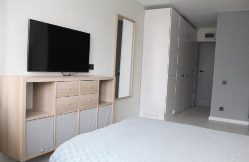 Alytus county Apartment | Cozy Studio near Druskininkai
