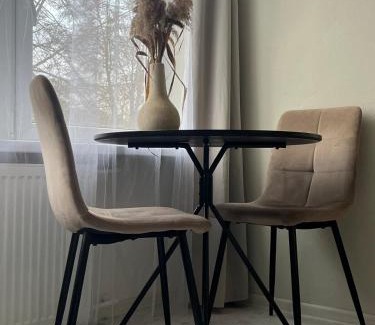 Alytus county Apartment | Cozy Studio near Druskininkai