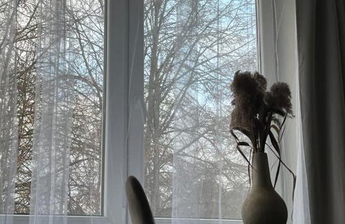 Alytus county Apartment | Cozy Studio near Druskininkai