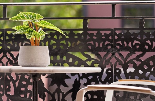 Glebe Apartment | Cozy Studio with Balcony in Unbeatable Location
