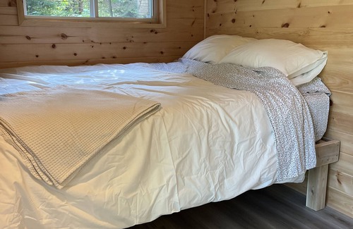 Caledon Cabin | Cozy tiny home, immersed in the forest, overlooking the pond!