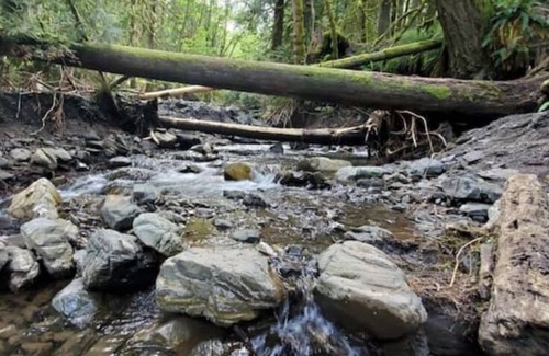 Lindell Beach Resort | Cozy Tiny Home Located in a Resort Near Cultus Lake