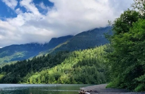 Lindell Beach Resort | Cozy Tiny Home Located in a Resort Near Cultus Lake