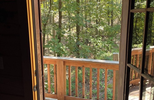 Hot Springs Cabin | Cozy mountain cabin 15 minutes from historic downtown, 3 miles from ORV PARK