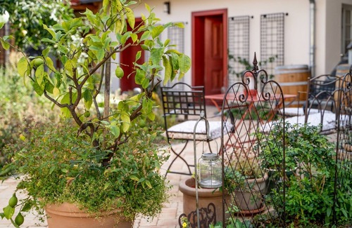 Grossenbrach Apartment | Cozy vacation apartment (45sqm) with terrace
