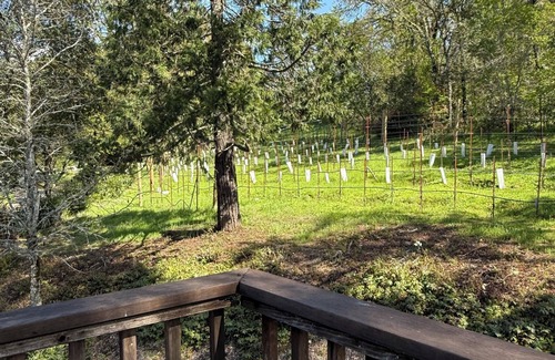 Healdsburg Apartment | Cozy vineyard studio in welcoming Healdsburg with WiFi, AC, fireplace, jacuzzi